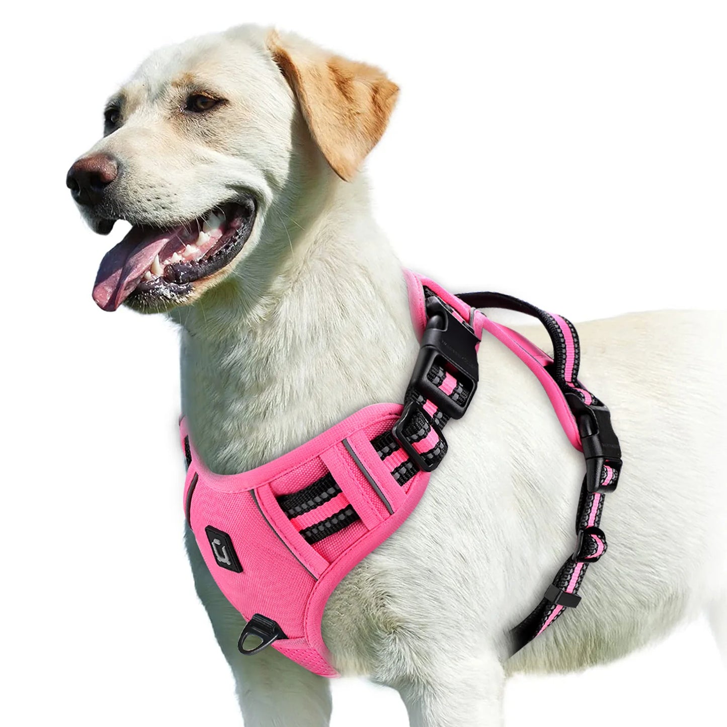 Spine Safe™ - HapPuplife's improved Dog Harness