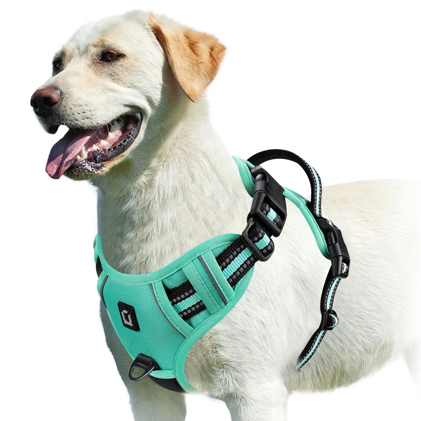 Spine Safe™ - HapPuplife's improved Dog Harness