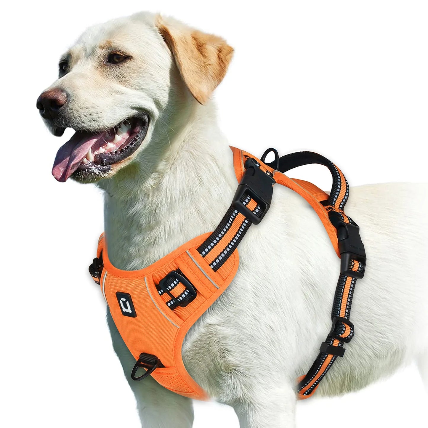 Spine Safe™ - HapPuplife's improved Dog Harness