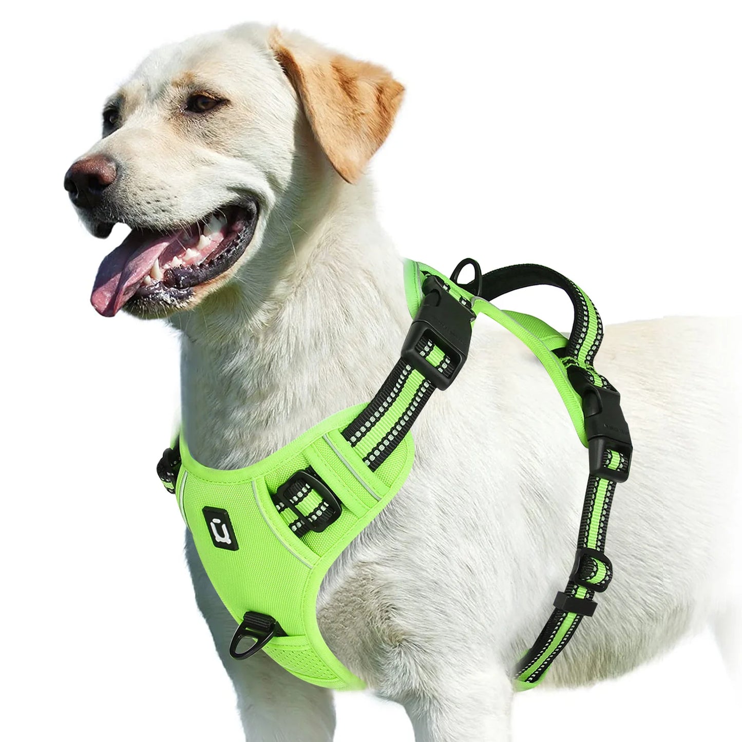 Spine Safe™ - HapPuplife's improved Dog Harness