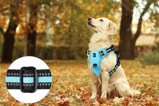 Spine Safe™ - HapPuplife's improved Dog Harness