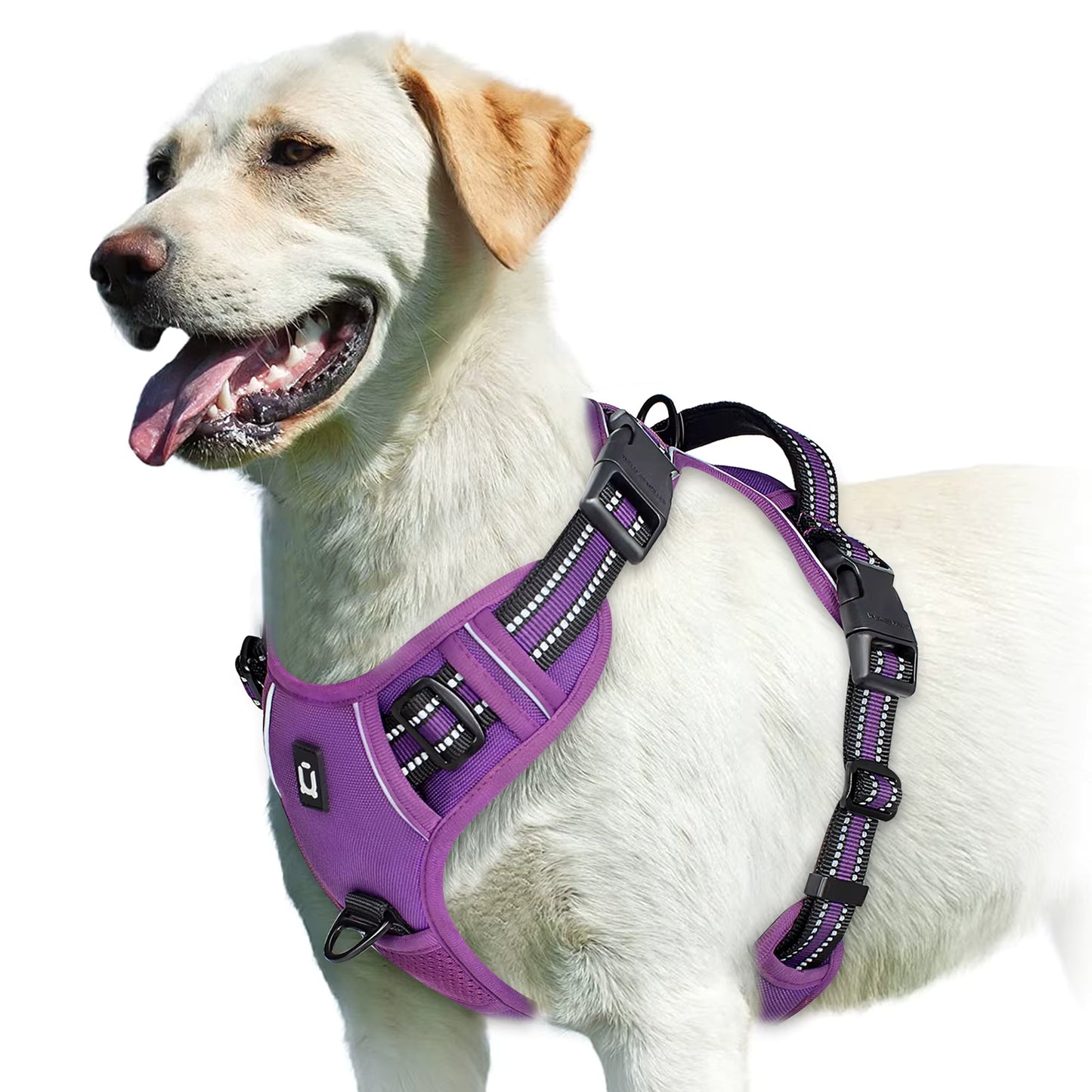 Spine Safe™ - HapPuplife's improved Dog Harness
