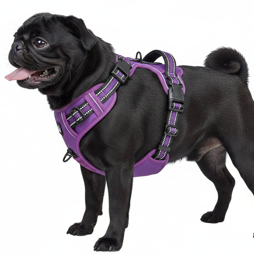 Spine Safe™ - HapPuplife's improved Dog Harness